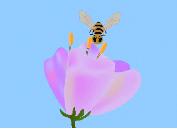 HONEYBANNERADdesktopnewm4v